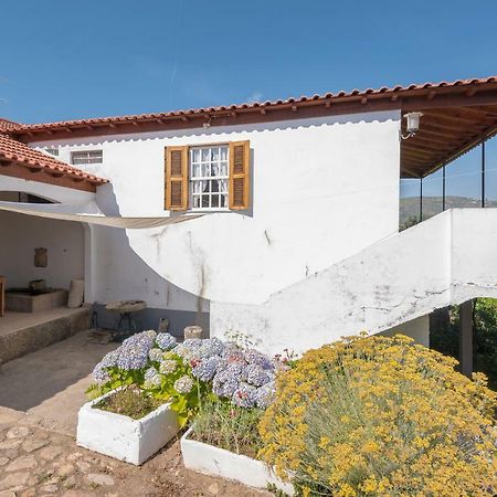 Quinta Do Acipreste 라메구 외부 사진