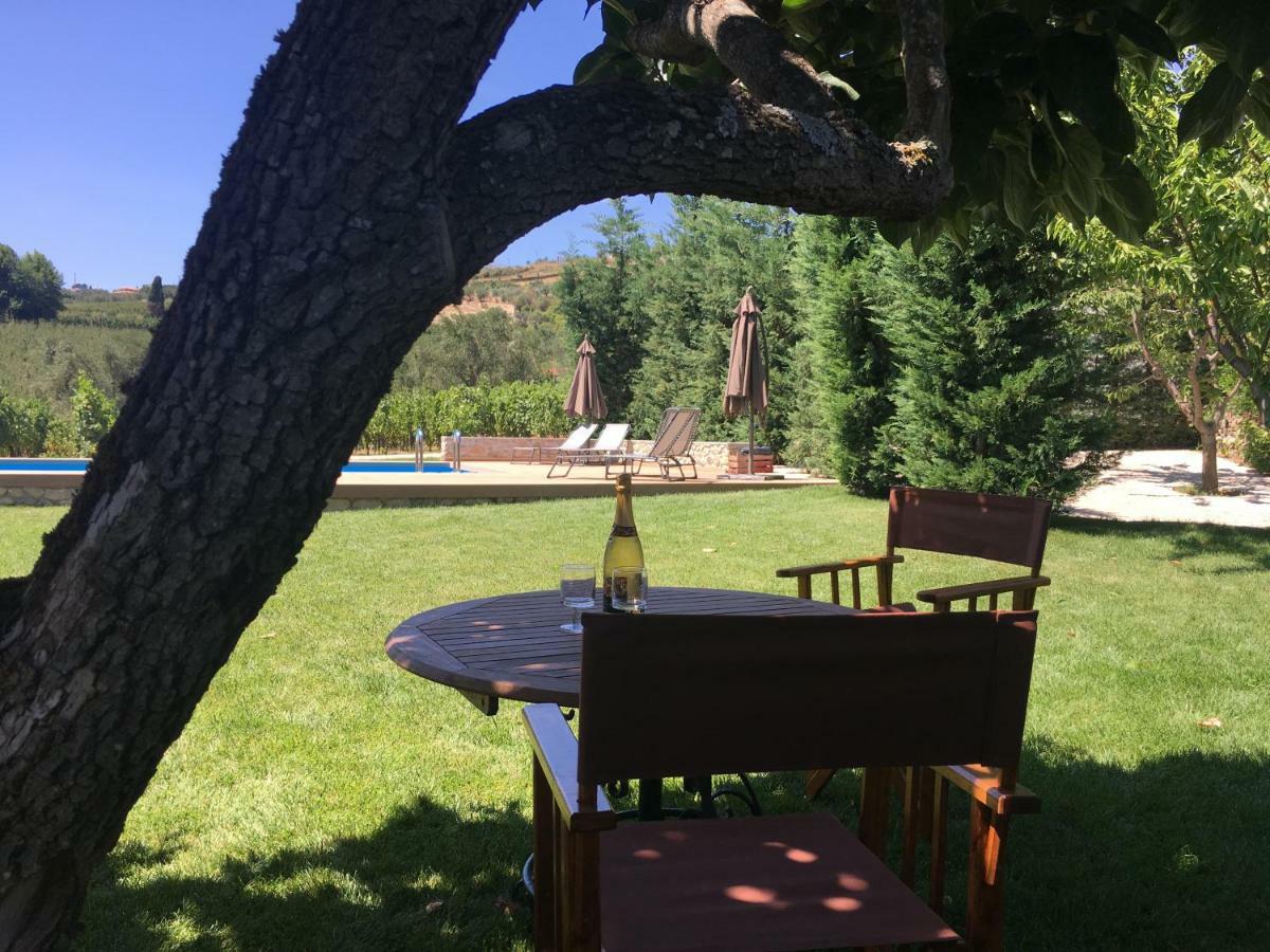 Quinta Do Acipreste 라메구 외부 사진