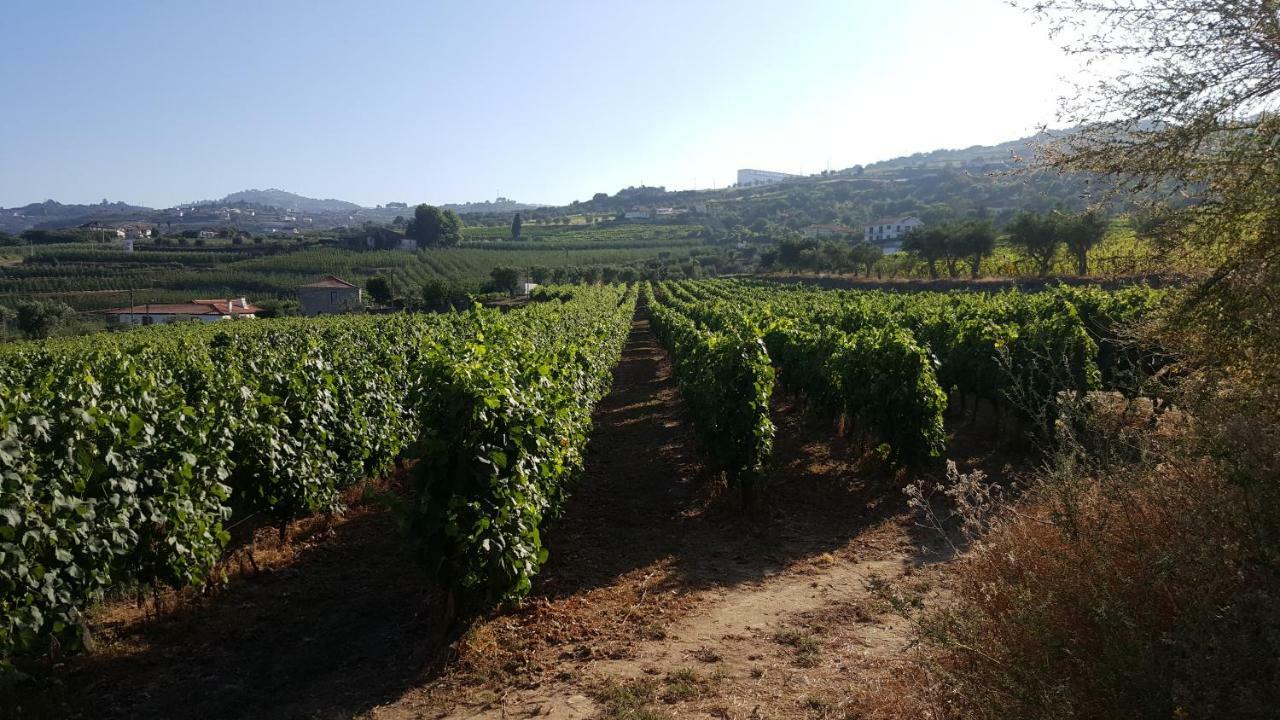 Quinta Do Acipreste 라메구 외부 사진