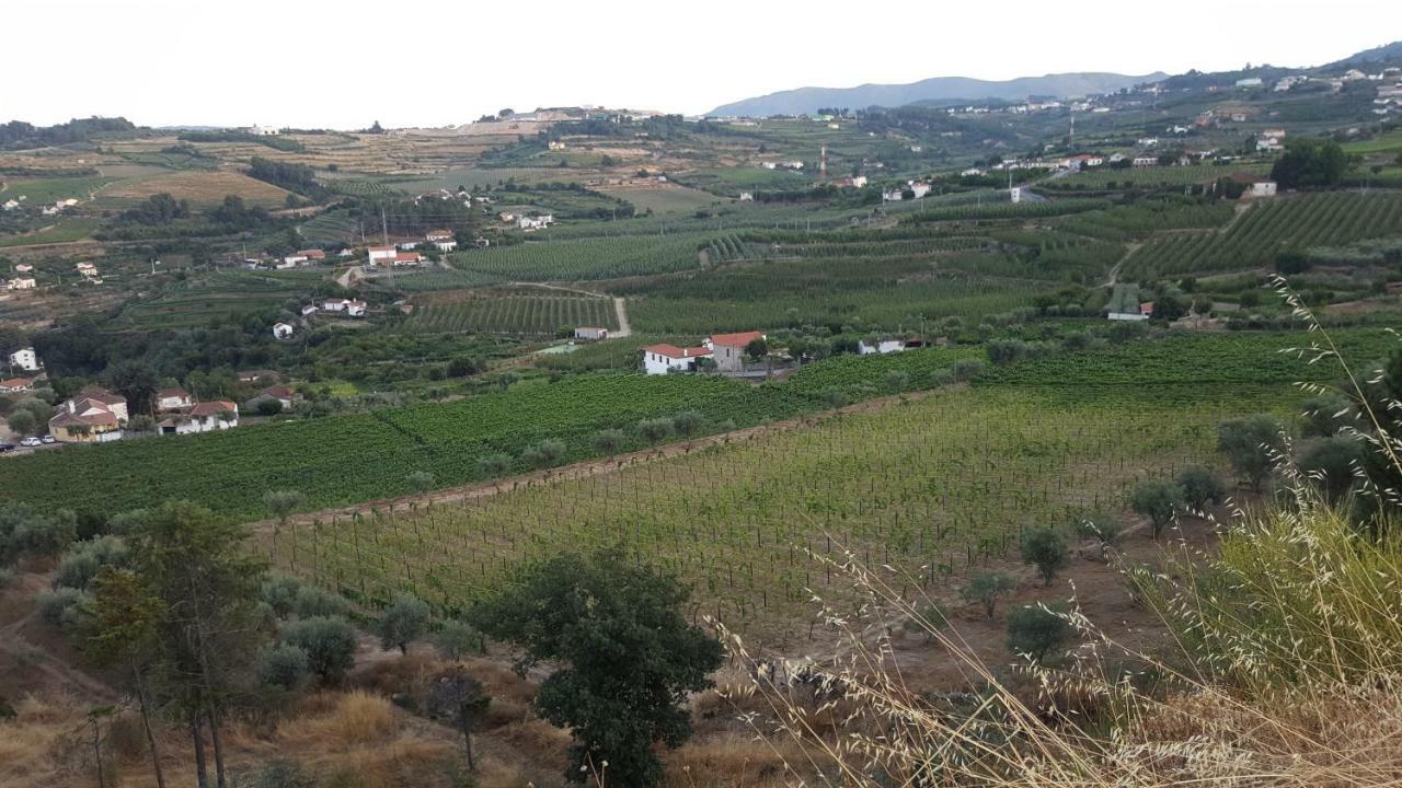 Quinta Do Acipreste 라메구 외부 사진
